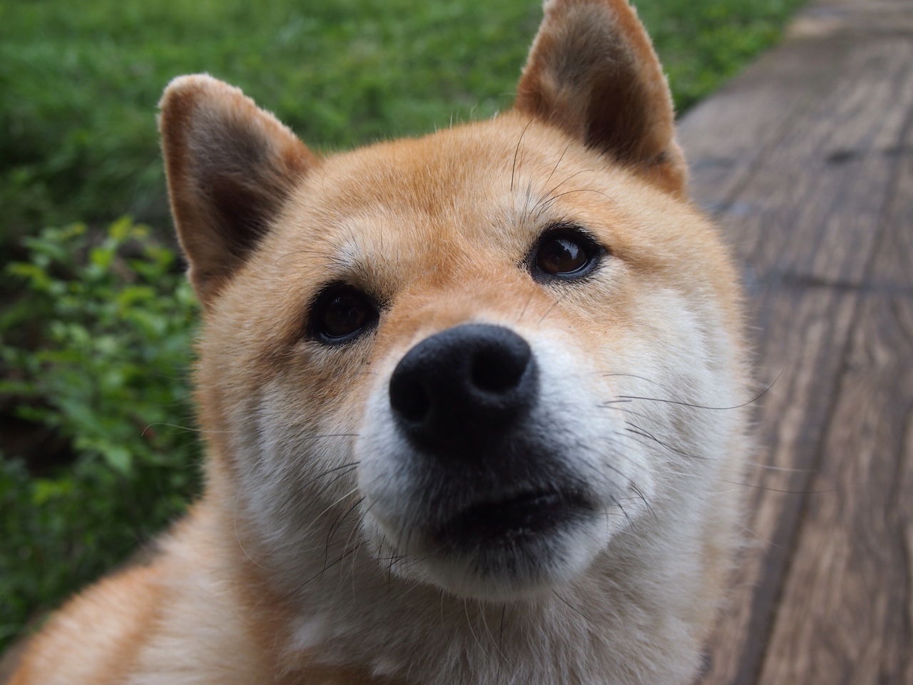 九游官网pc-_精彩瞬间：逆转、破纪录、经典回顾_，十大经典逆转赛事