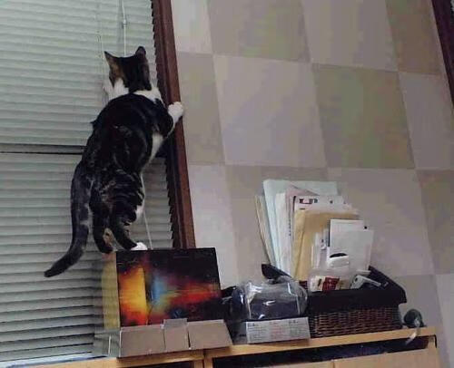 九游网游官网-【新技术应用】智能监控辅助防守策略的未来前景，智能辅助综合监控系统定义及组成