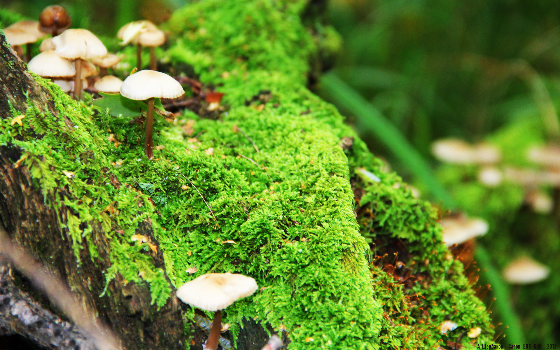 【新规则】比赛罚分制度革新带来新挑战，比赛罚款