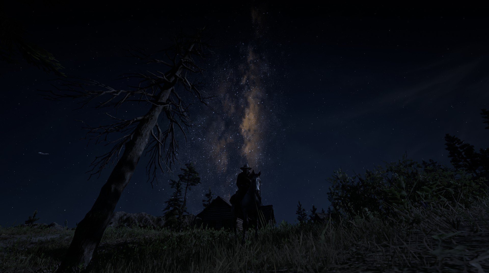 九游下载中心-泰国马术协会建立马匹基因数据库，促进马匹选育与训练。，泰国马术俱乐部