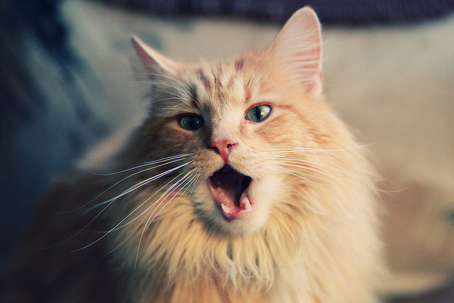 球员个人品牌崛起:从运动员到潮流引领者,知名球员