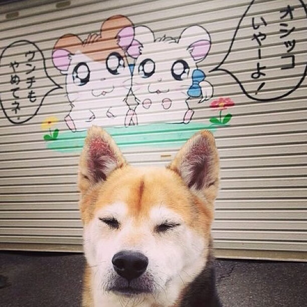 九游app官网下载-足球视觉识别系统增强比赛精彩镜头提取，足球解析视频制作