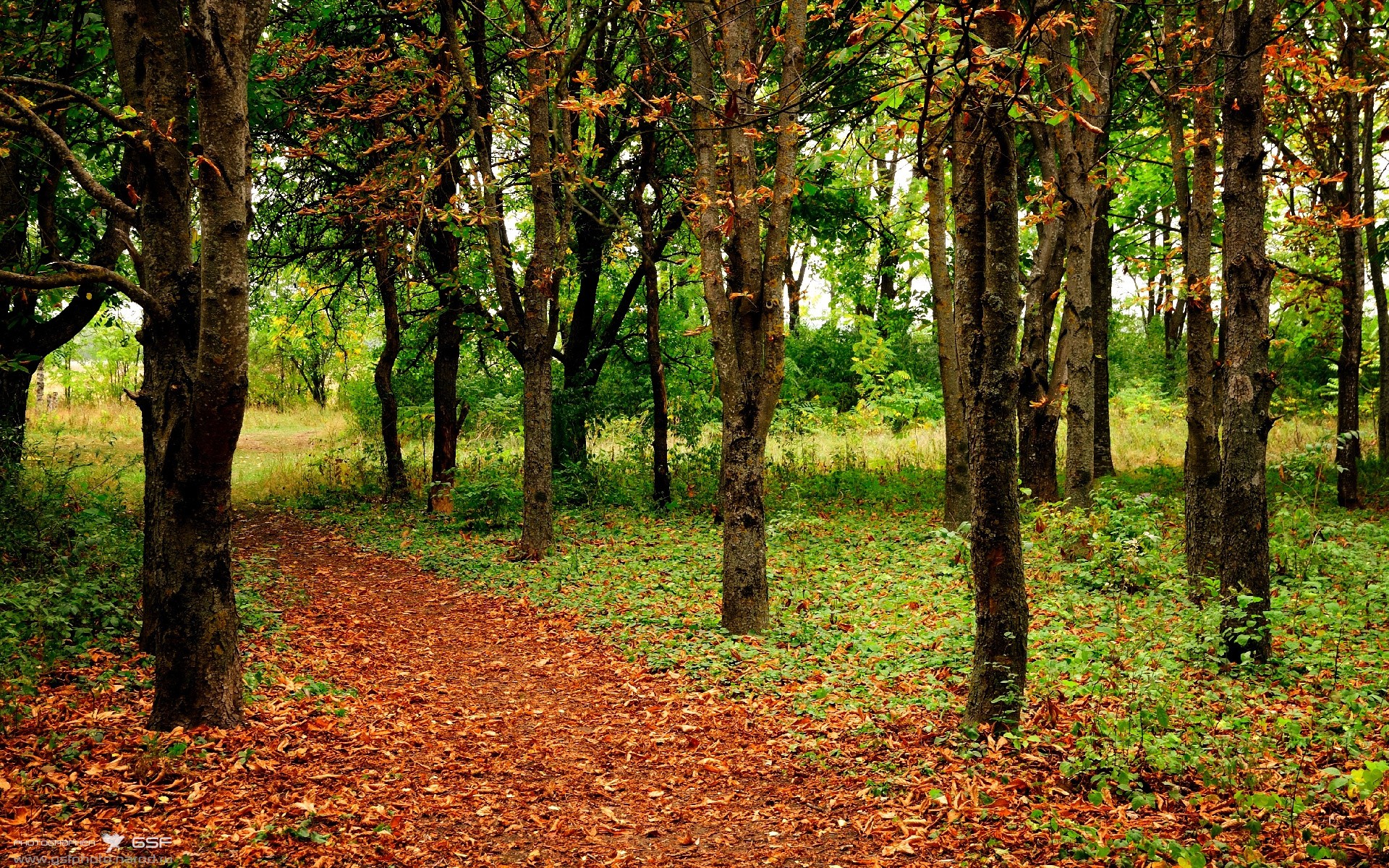堡垒之夜更新加入第一人称视角，堡垒之夜是第几人称