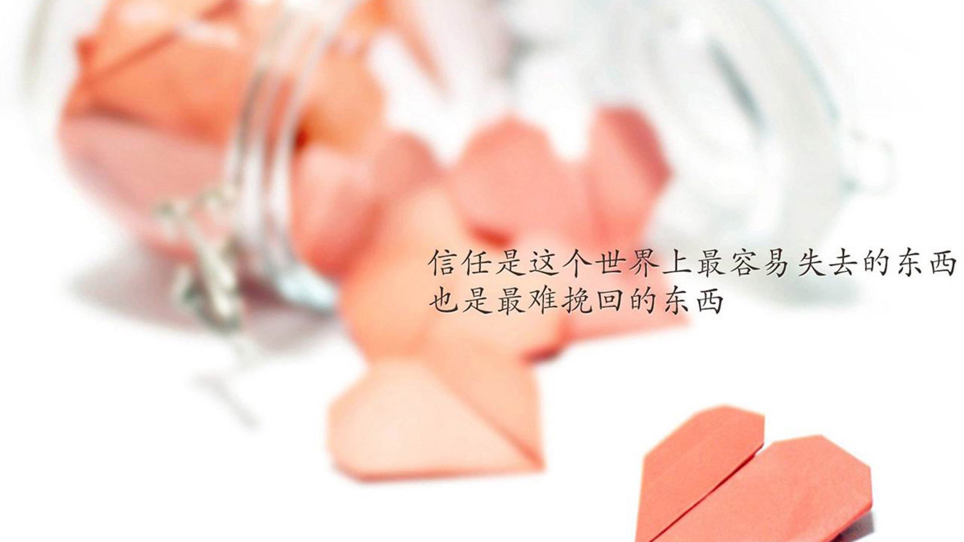 女足比赛中,中国队员郑某实力出众,中国女足被球迷亲切的称为