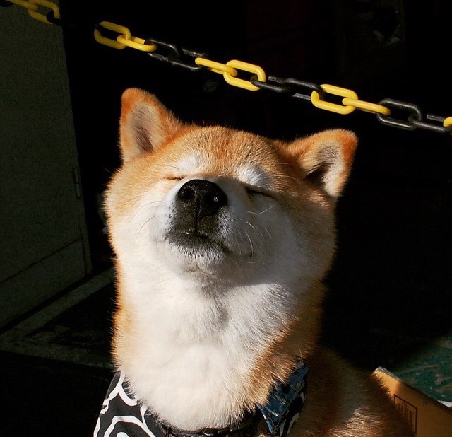 年轻中场双核助力西班牙闯入决赛,西班牙年轻球员