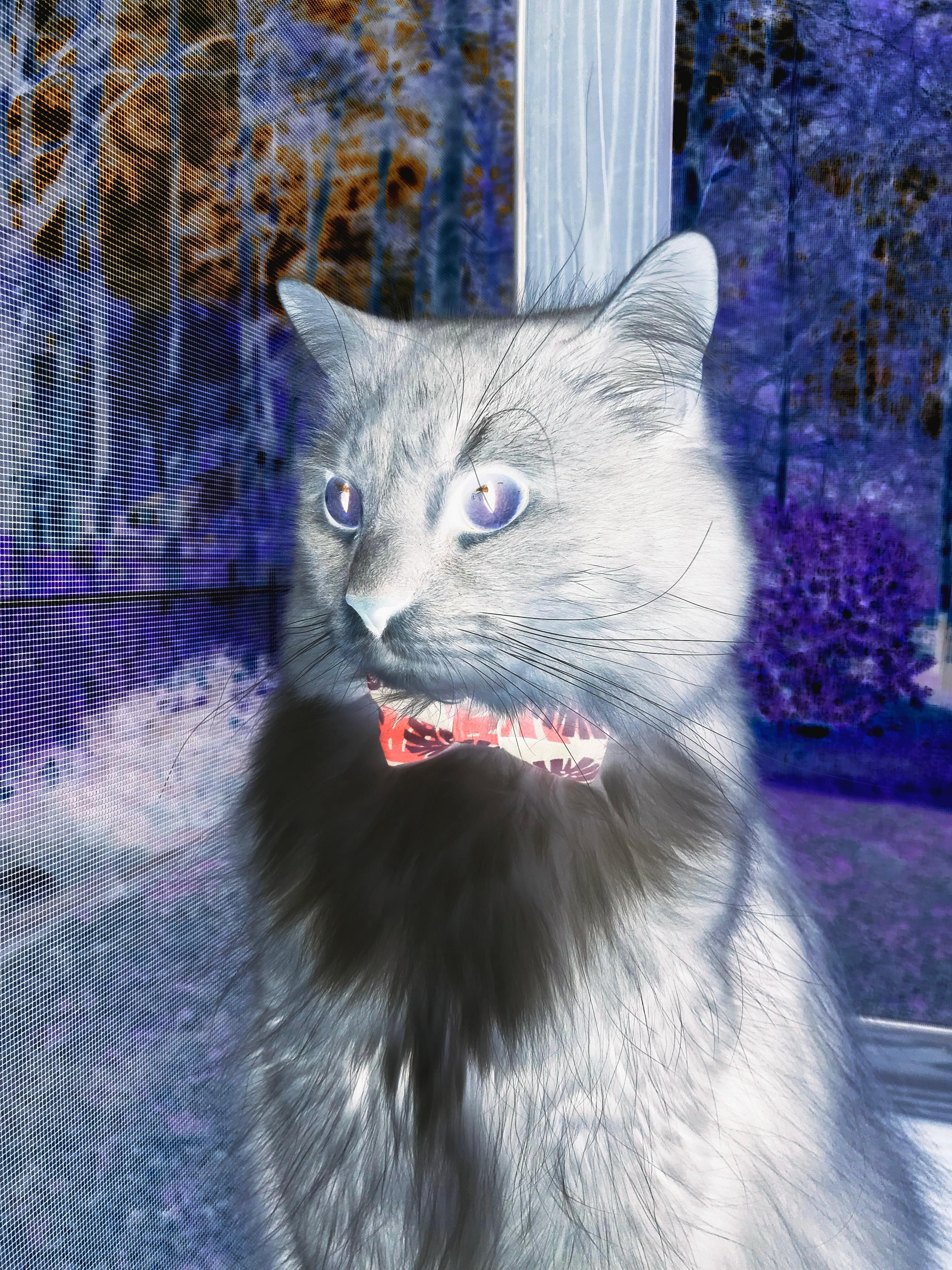 九游娱乐官网 (jiuyou)-曼联主场大胜谢菲联，状态回暖，曼联主场大胜谢菲联,状态回暖了吗