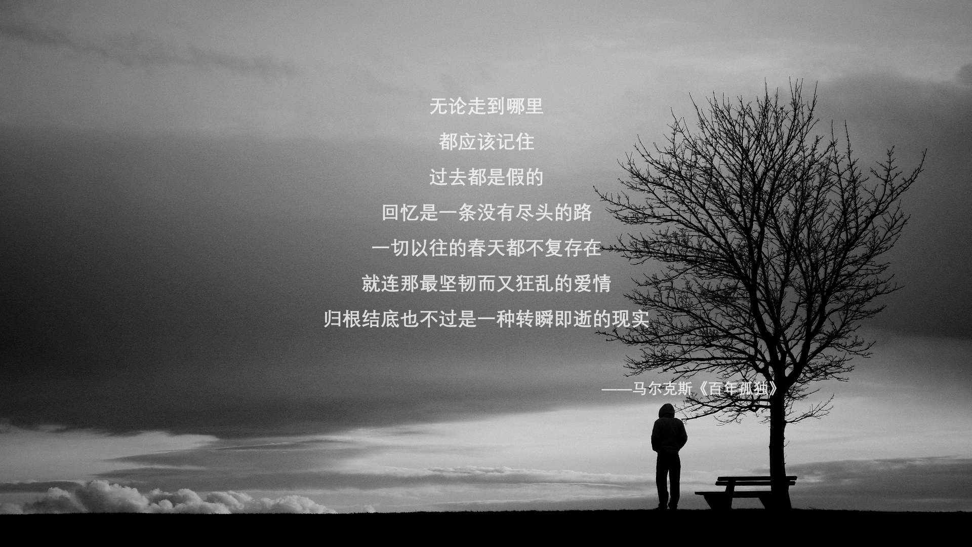 莱斯特城逆转三连胜,郑智神勇发挥,赛季表现令人惊艳,莱斯特城夺冠之路