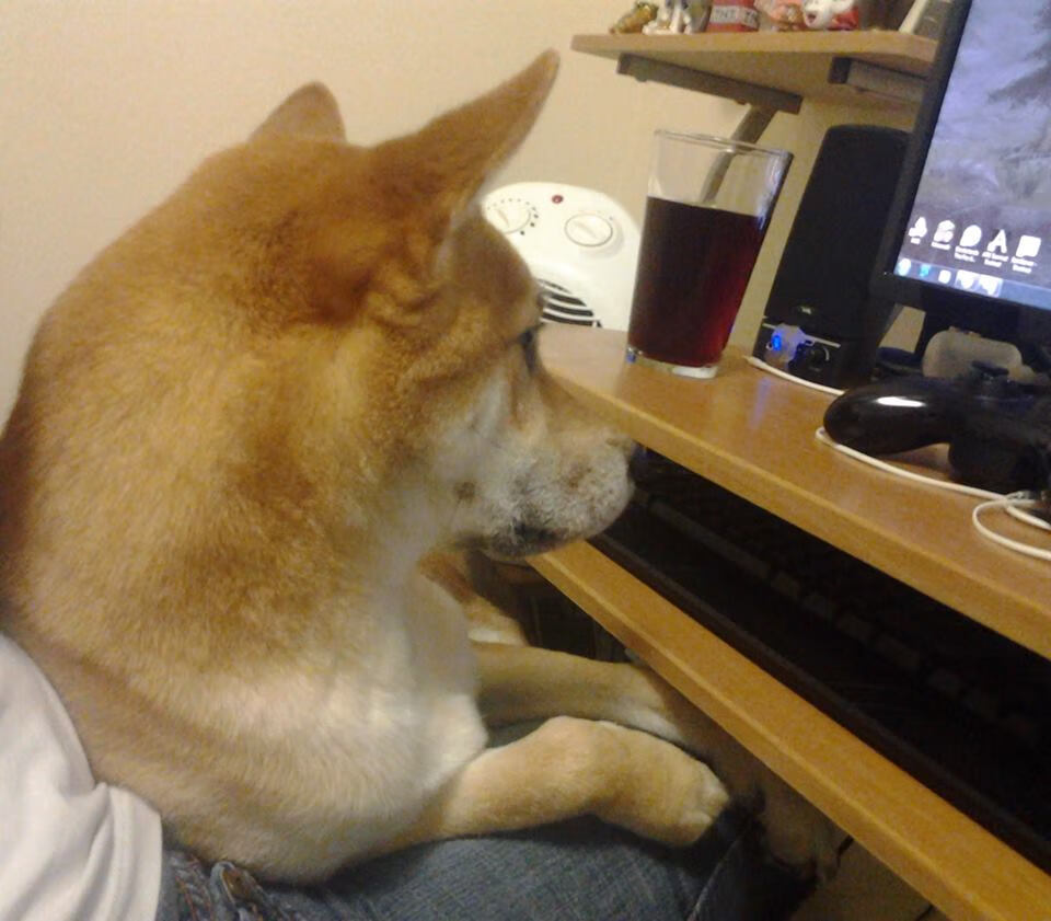 九游-西班牙给立陶宛上了一课，大胜收官，立陶宛总统和西班牙首相