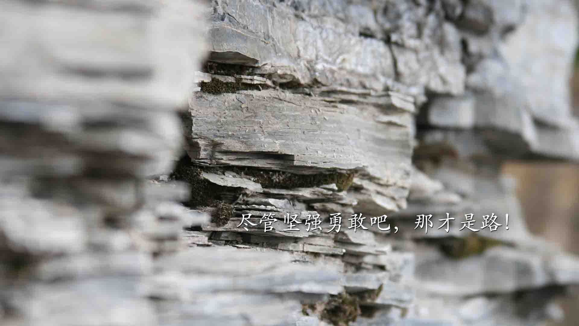 九游-比利时骑手格里高利·瓦特莱特在2024年国际马术联合会障碍赛世界巡回赛中获得个人第五名，展现坚韧精神。