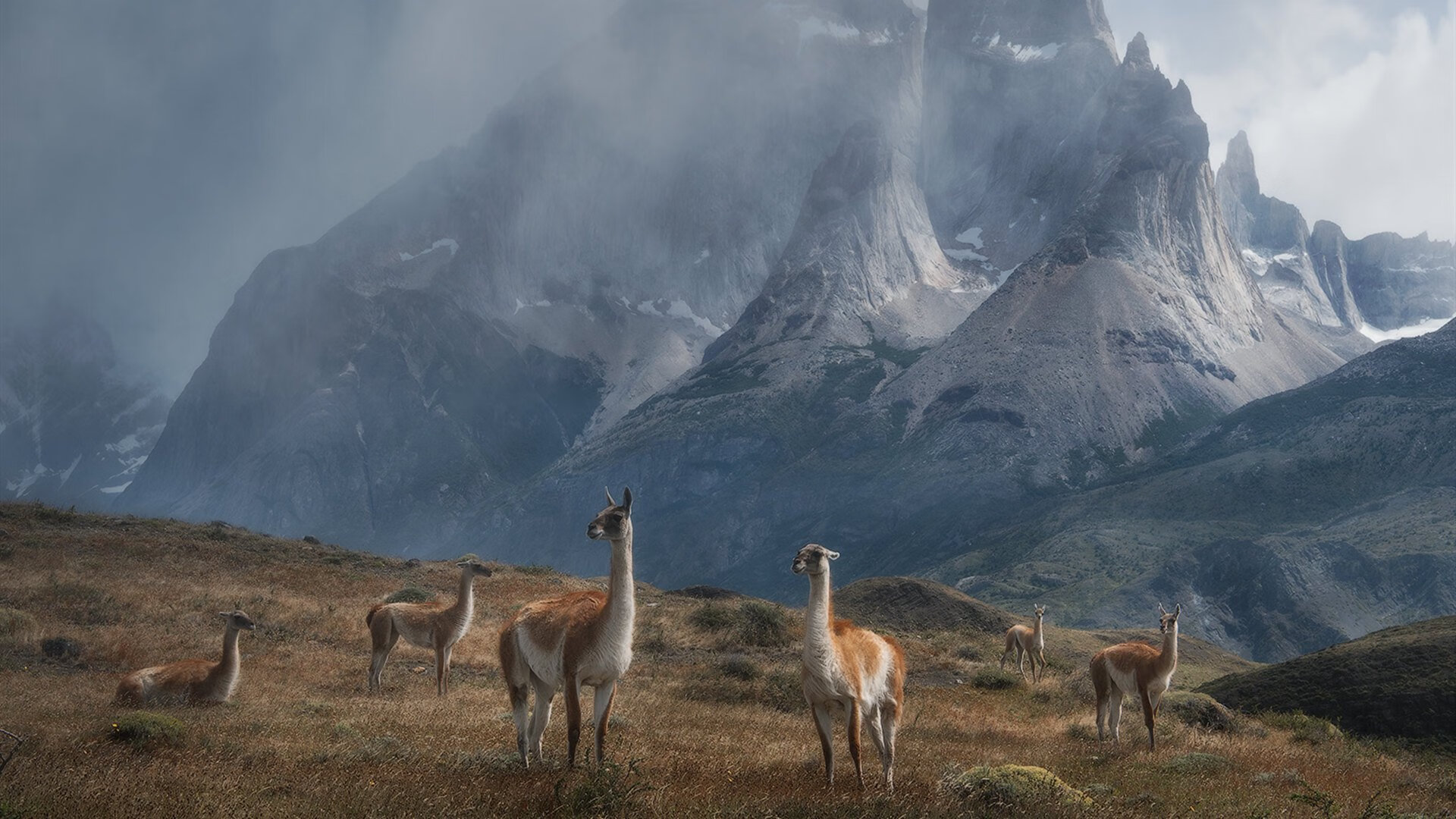 战术变化是否能掩盖球队短板，战术问题