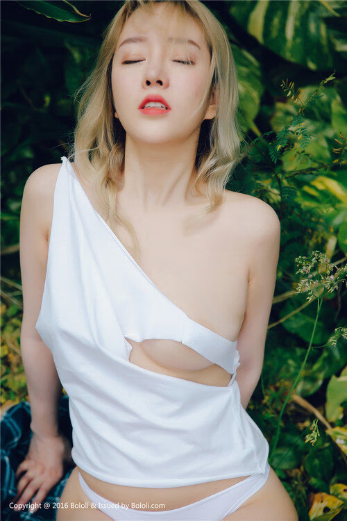 波兰队赛制解析:如何通过赛制调整实现对手压制,波兰队打法