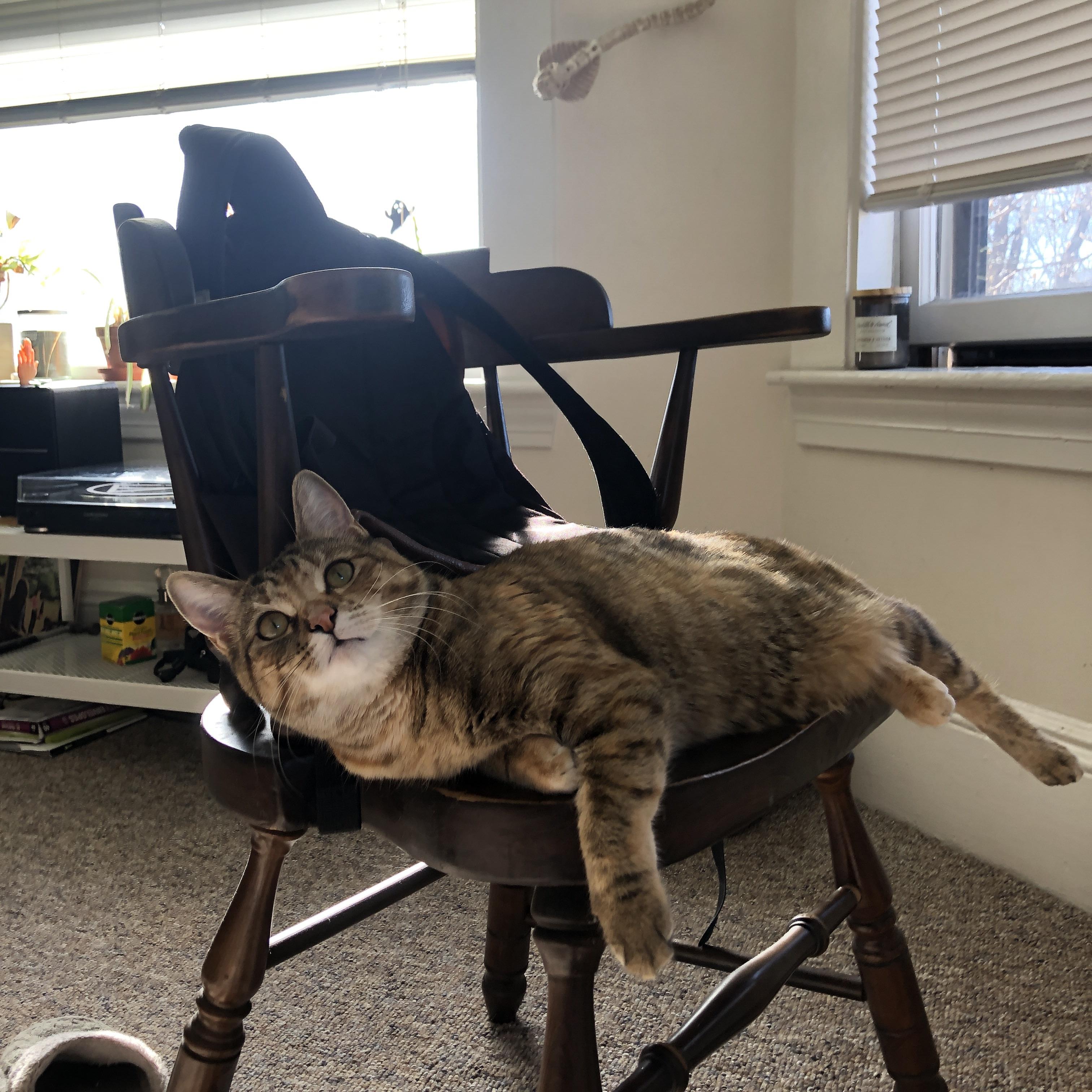 自由搏击赛事水平稳步提升,自由搏击日常训练项目