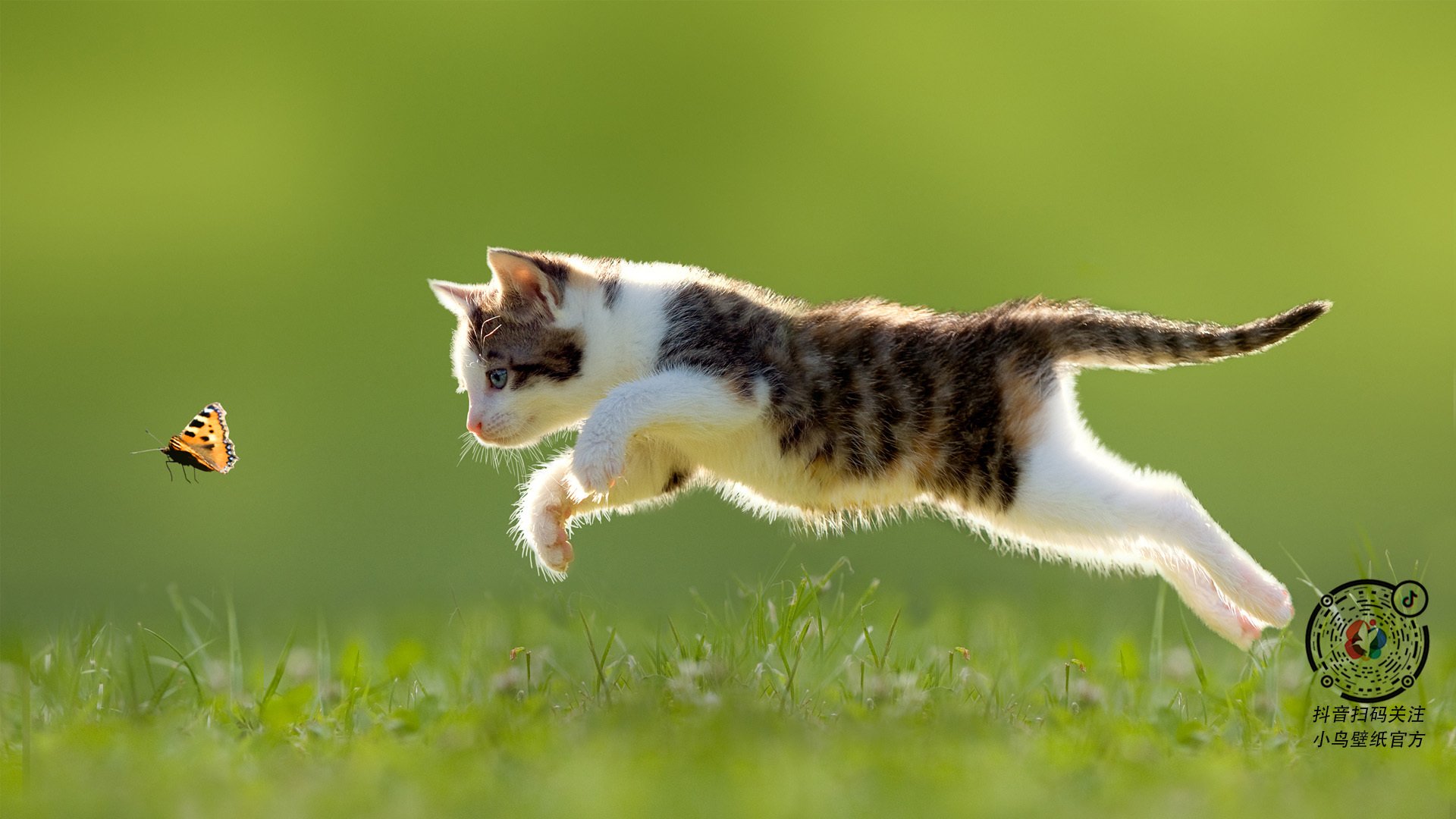 青训体系专业化水平亟需提升，青训理念