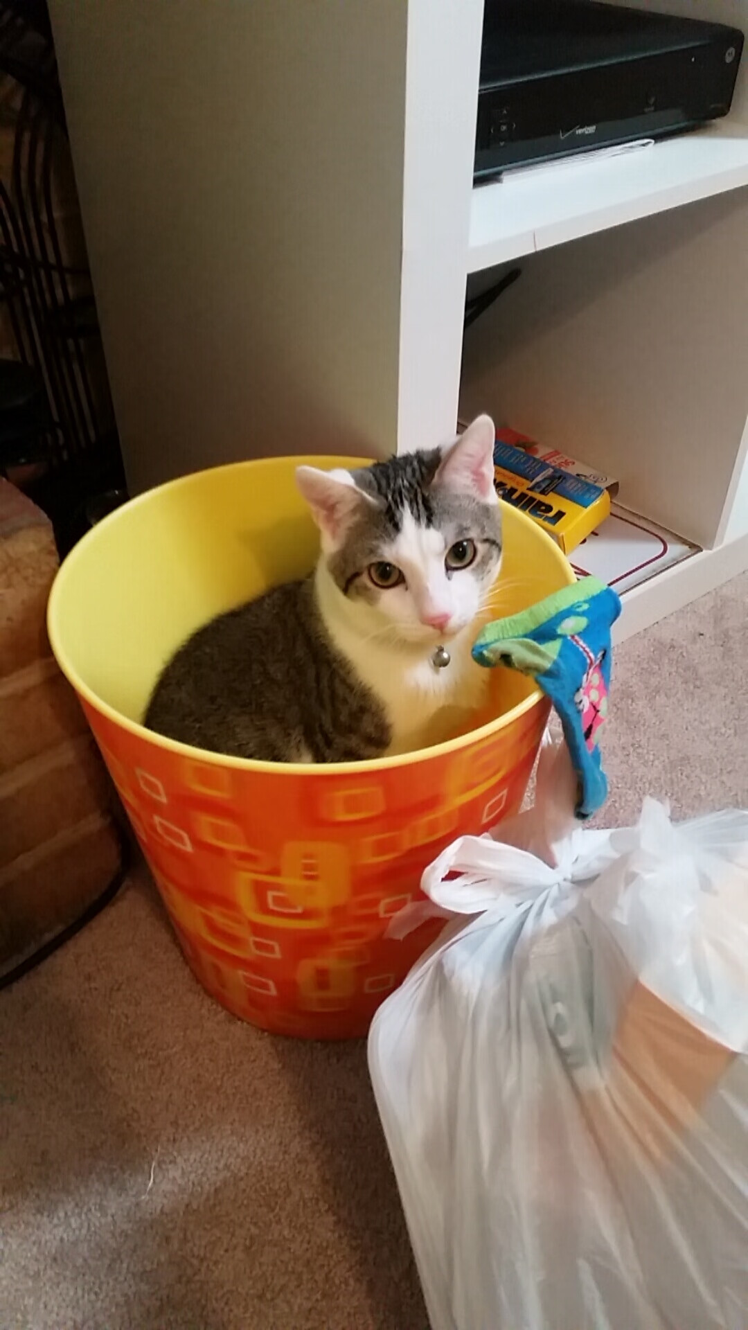 南非男篮在非洲锦标赛中表现优异，取得历史新高