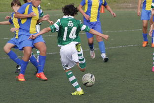 九游官网下载电脑版-国家体育场运营中心发布暑期开放时间公告，国家体育场百度百科