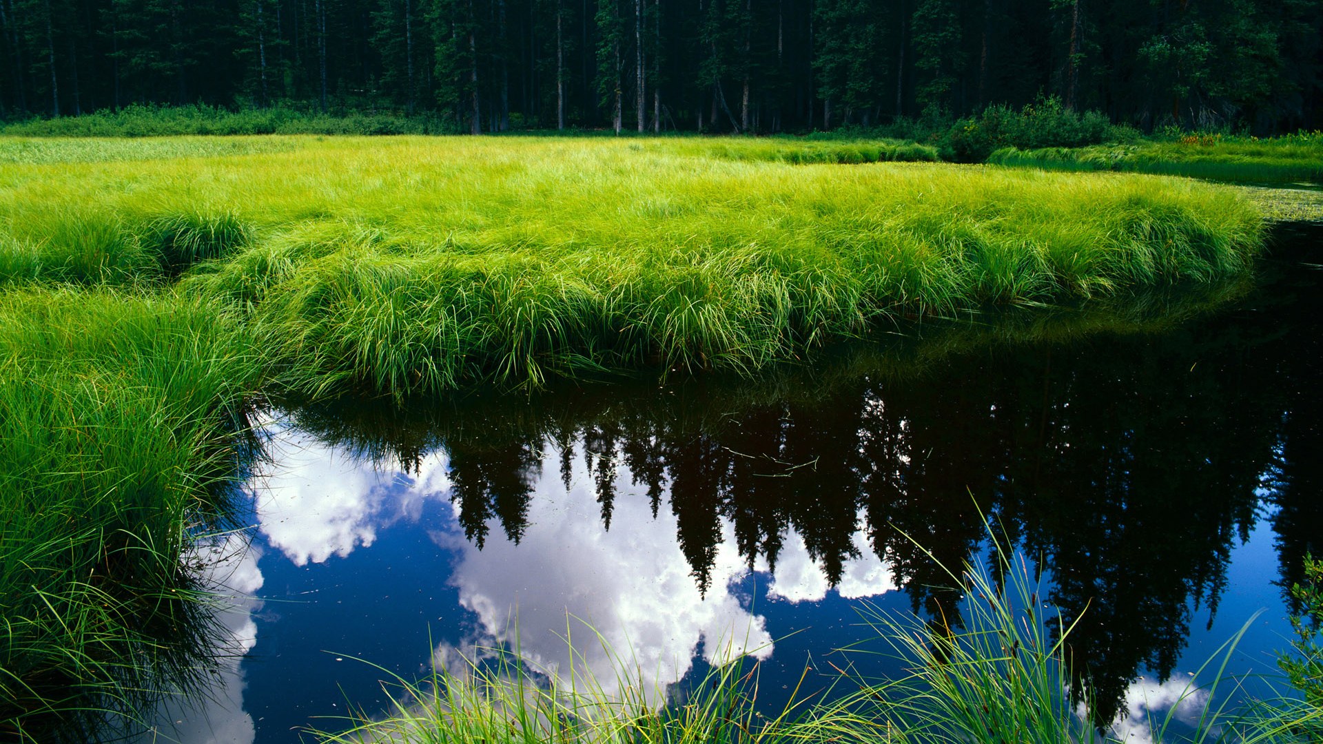 九游9游-巴雷特：凭借高效的进攻组织，带领全黑队打出流畅配合，巴雷特m