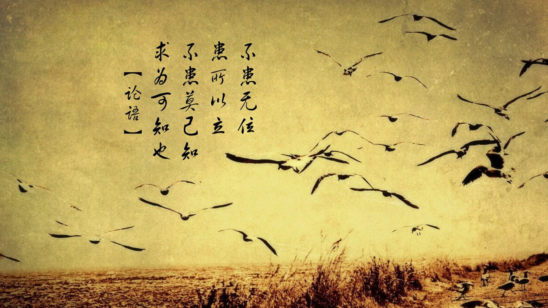 电竞世界锦标赛战队阵容正式公布，电竞世界邀请赛