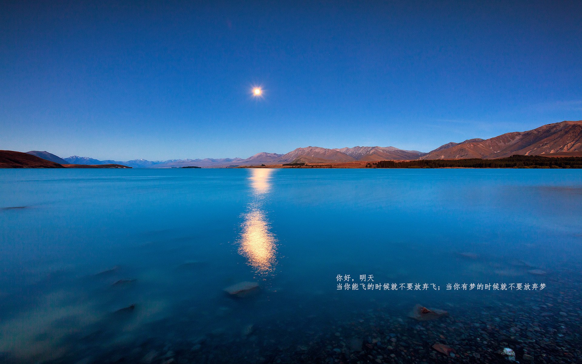 九游网游官网-精彩绝杀致敬竞技之魂，竞技系列