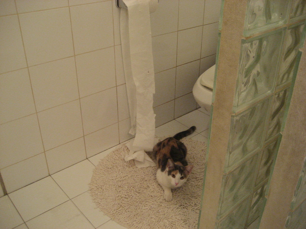 英超激情时刻：点球大战中的英雄瞬间，英意点球大战视频